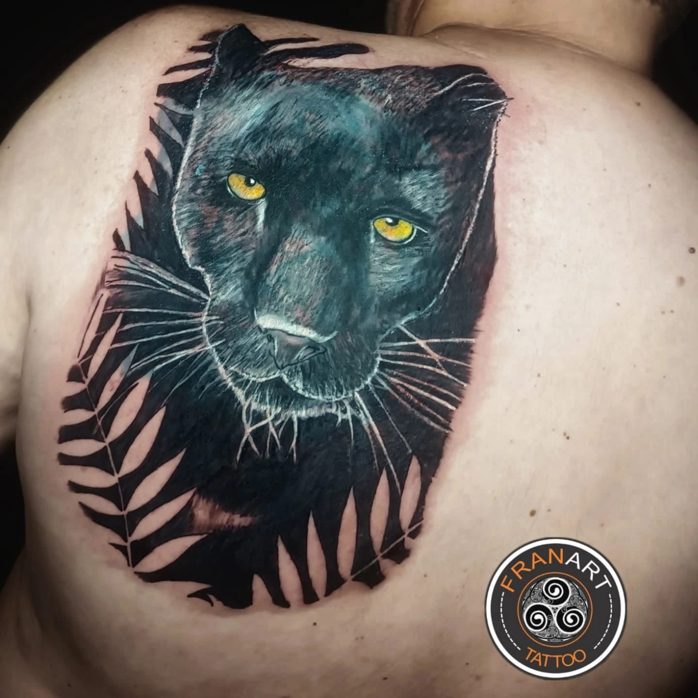 Coberturas e Transformações